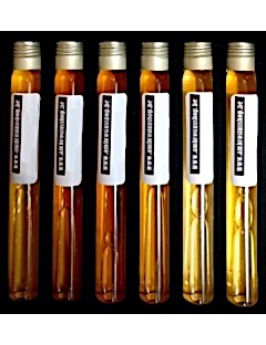 Tasting Tubes Discovery Single Malts 6*2,5cl