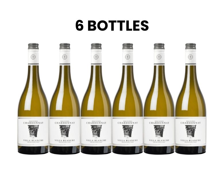 Karton Villa Blanche Chardonnay 2024 6x75cl