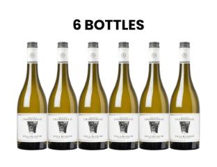 Karton Villa Blanche Chardonnay 2024 6x75cl