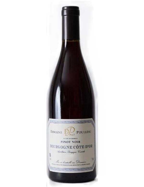Dom Poulleau Bourgogne Cote D Or Pinot Noir 2023 75cl