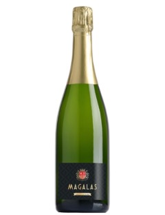 Moulin de Lene Magalas Brut Nature 2023 75cl