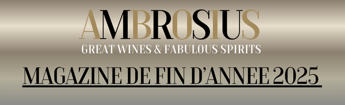 banner eindejaarsmagazine